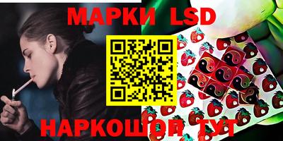 мдпв Новозыбков