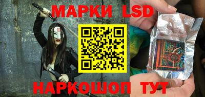 индика Новодвинск