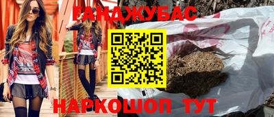 мдпв Новозыбков