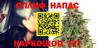 мдпв Новозыбков