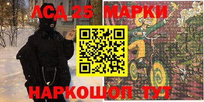 мдпв Новозыбков