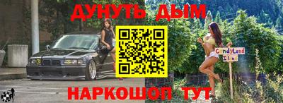 индика Новодвинск