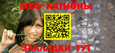 индика Новодвинск