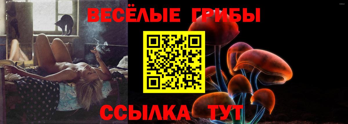 наркошоп  Вход с VPN  Георгиевск  Галлюциногенные грибы Magic Shrooms 